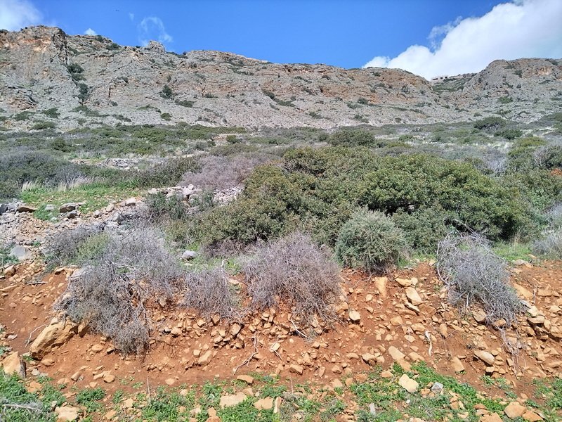 Propriedade 8