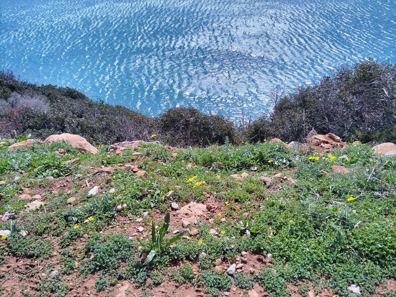 Propriedade 10