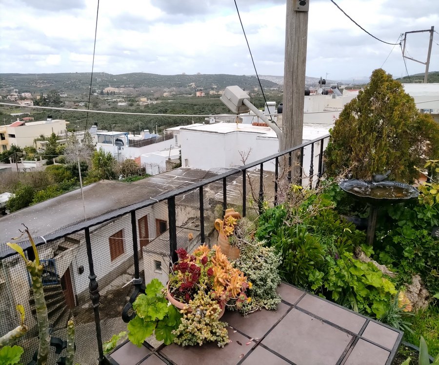 Property 26