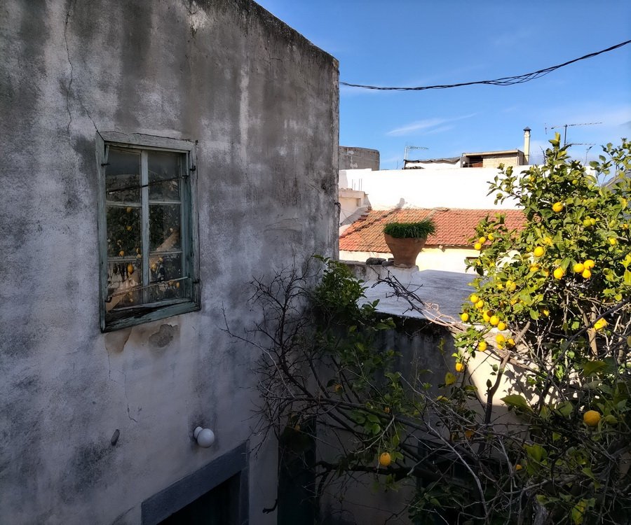 Property 40