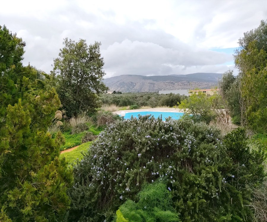 Property 26