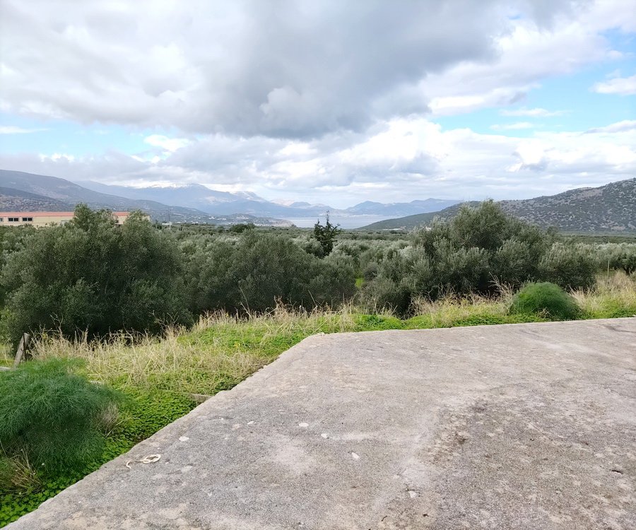 Property 40