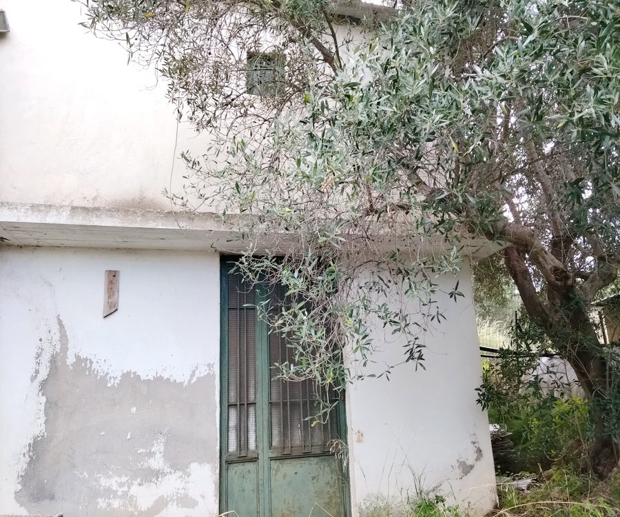 Property 45