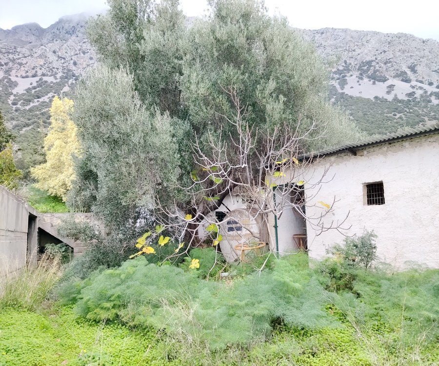 Property 46