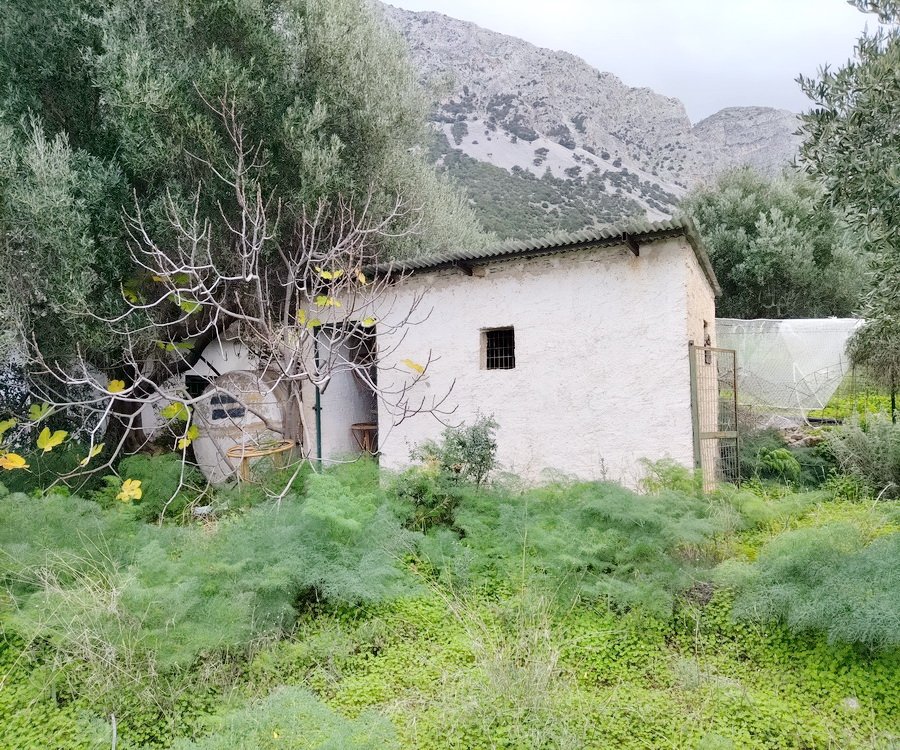 Property 47