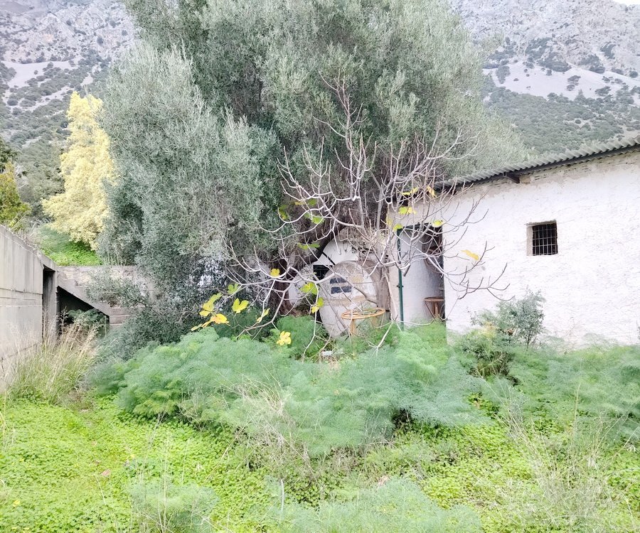 Property 48