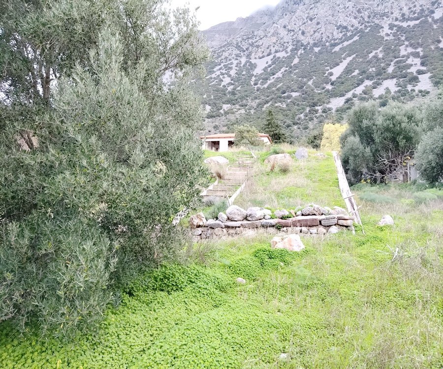Property 49
