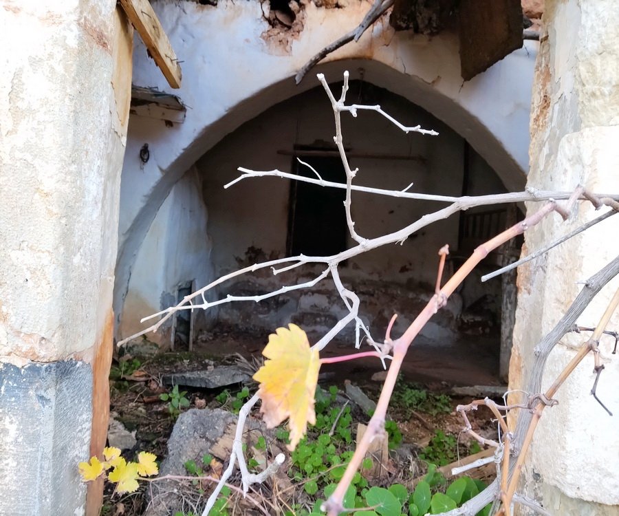 Property 18
