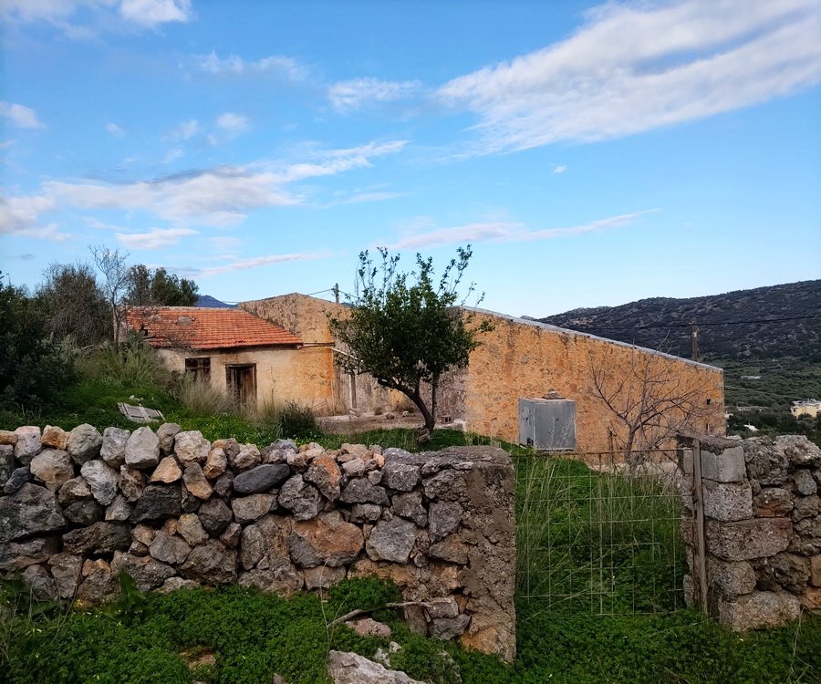 Property 19