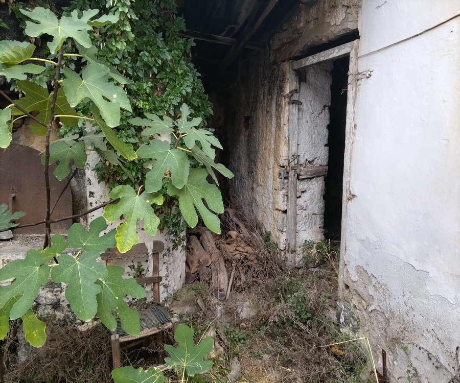 Property 21