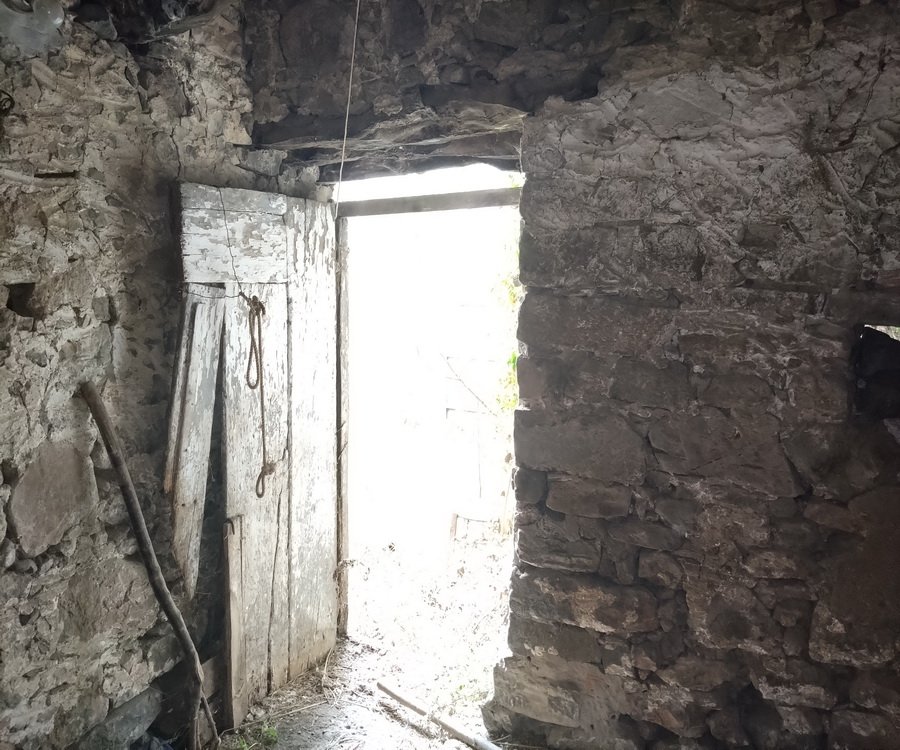 Property 29