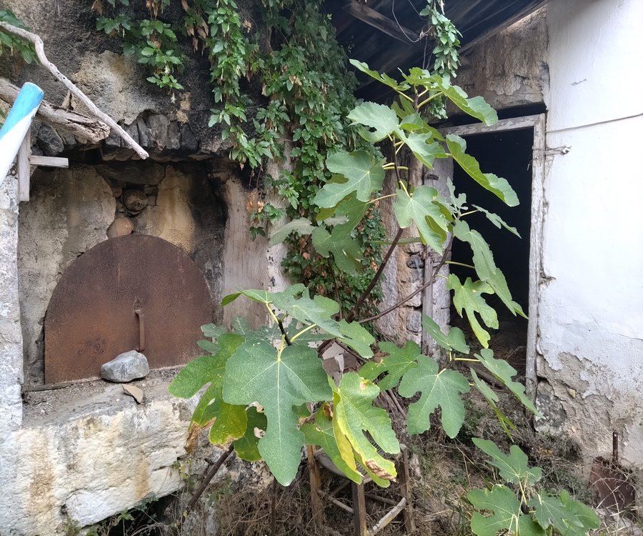 Property 31