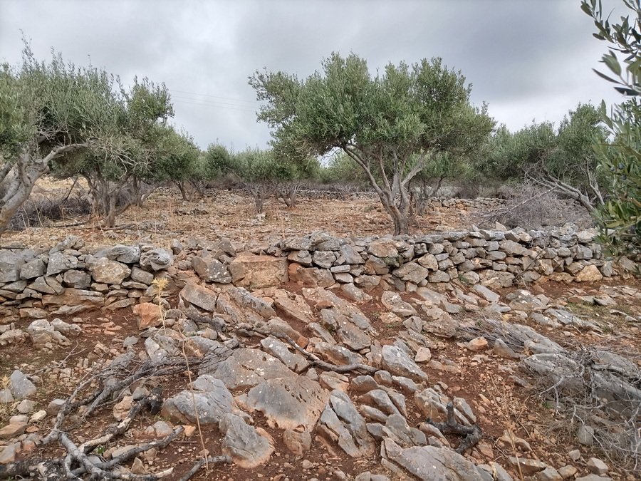 Property 20