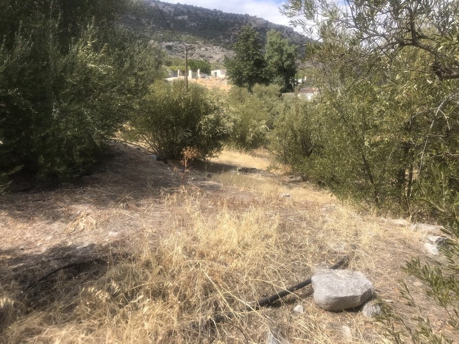 Property 22
