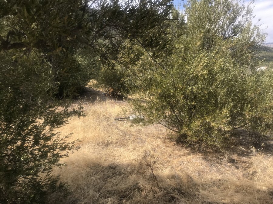 Property 23