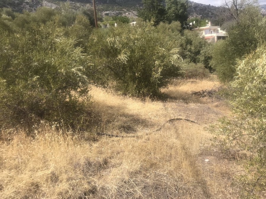 Property 29