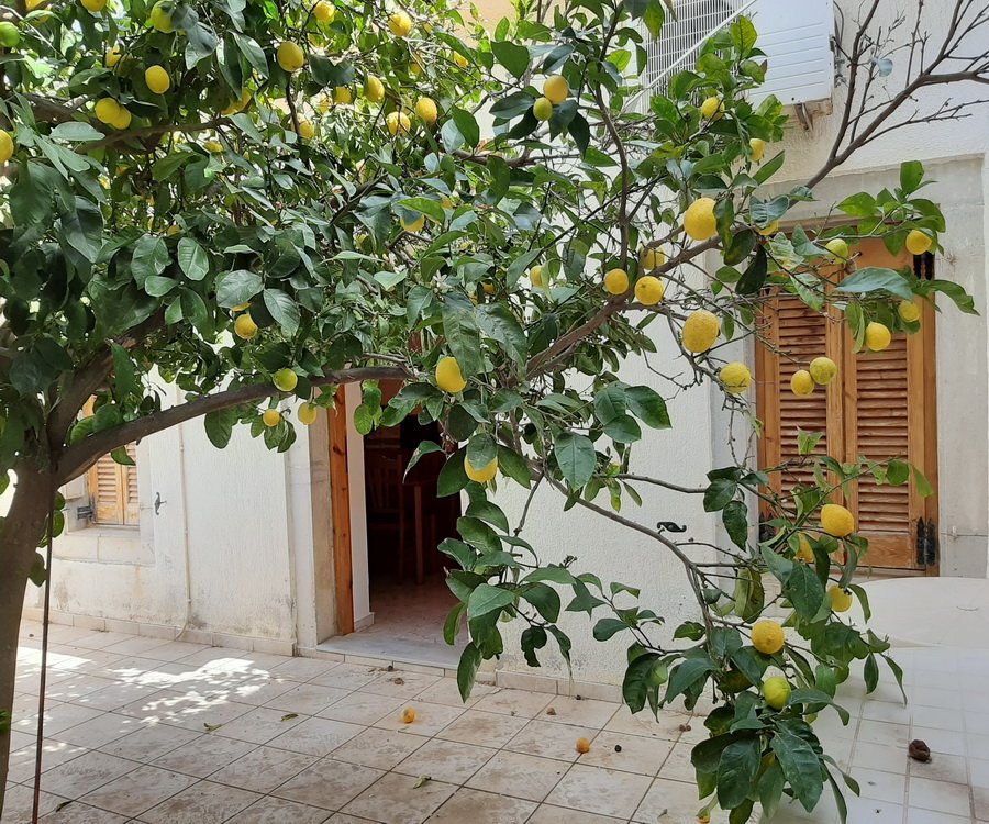 Property 25