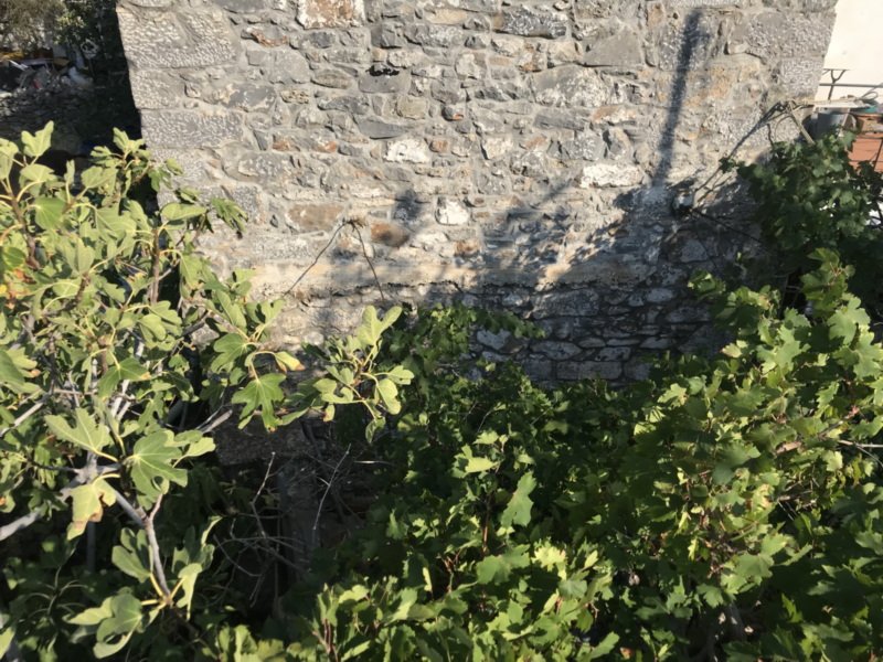 Property 12