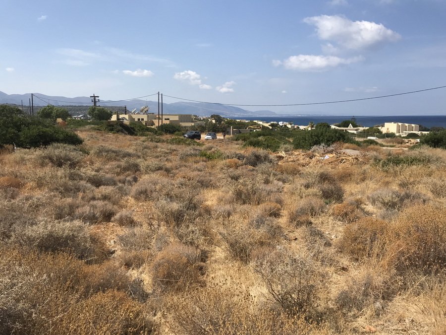 Property 25