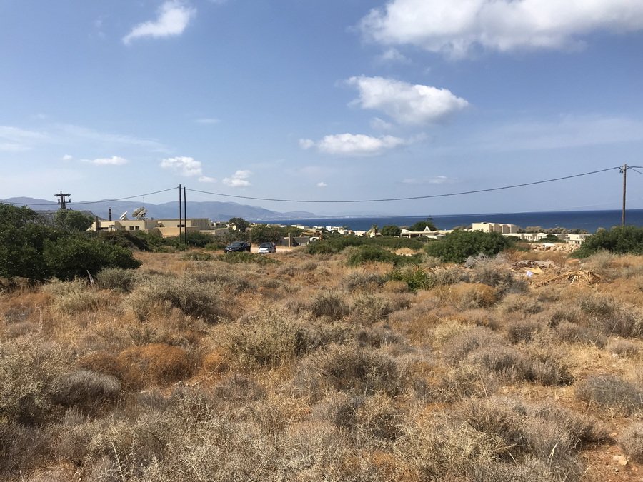 Property 29
