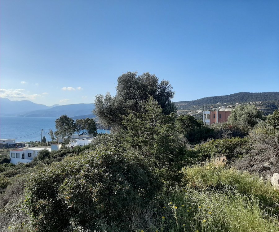 Propiedad 6