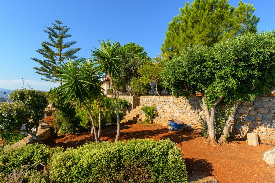 Propriedade 29