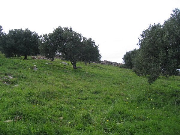 Propriedade 2