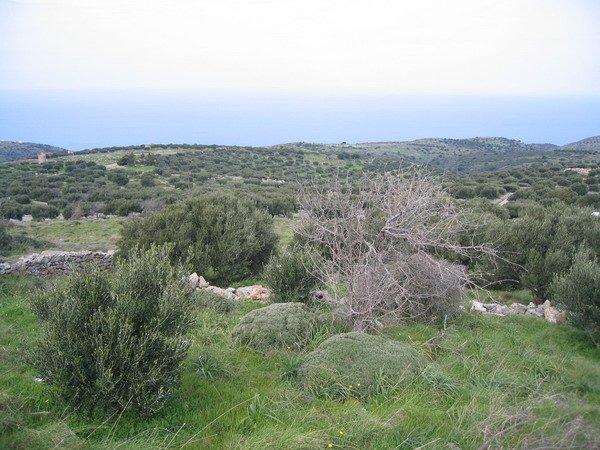 Propriedade 5