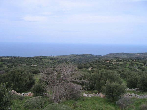 Propriedade 7