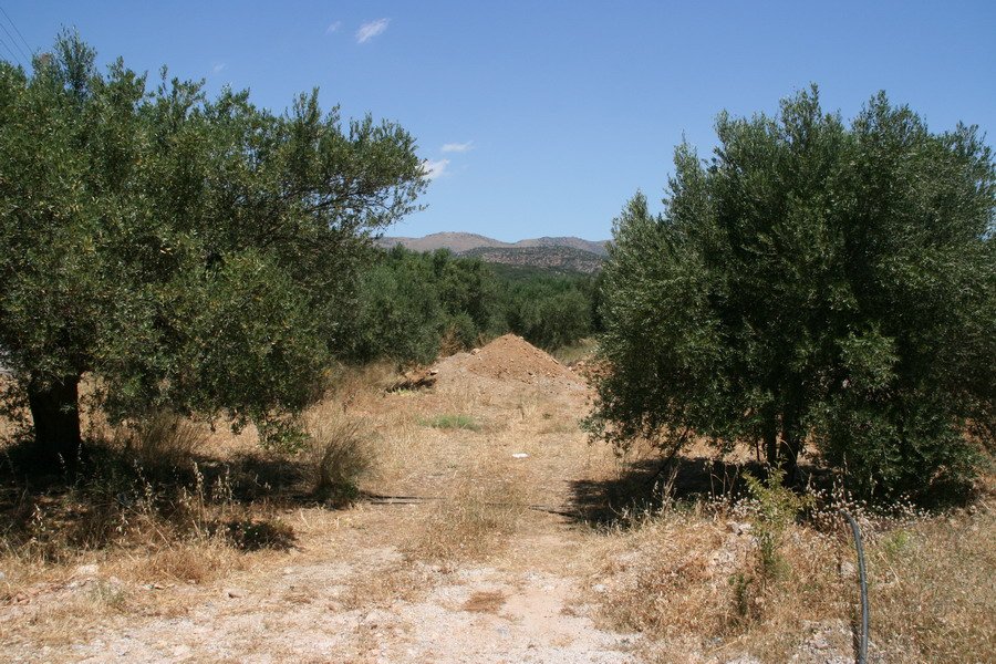 Property 1
