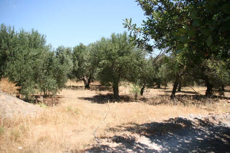 Property 3