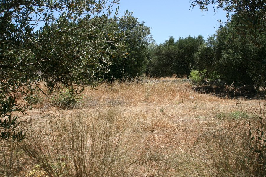 Property 4