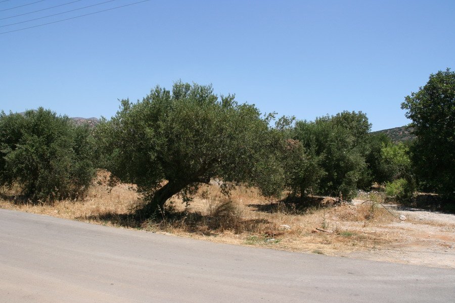 Property 6