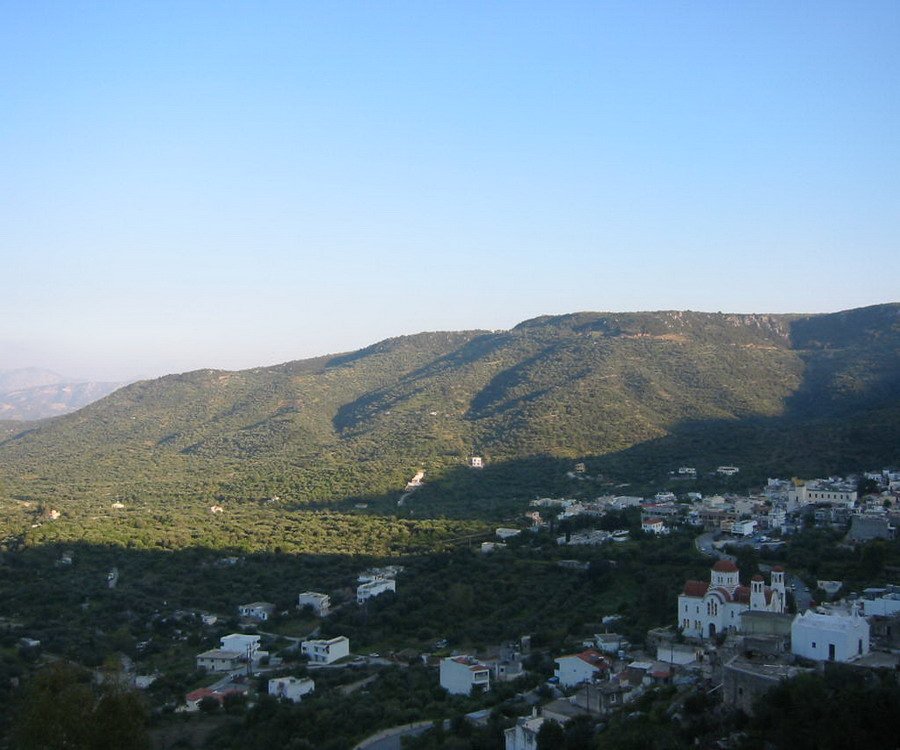 ملک 8
