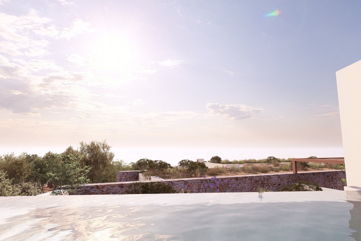 Property 31