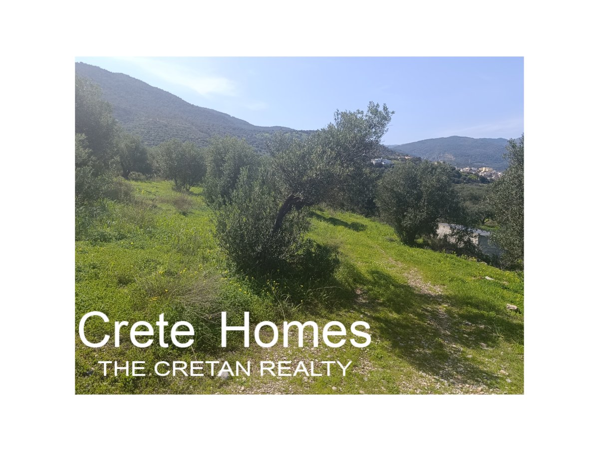Property 12