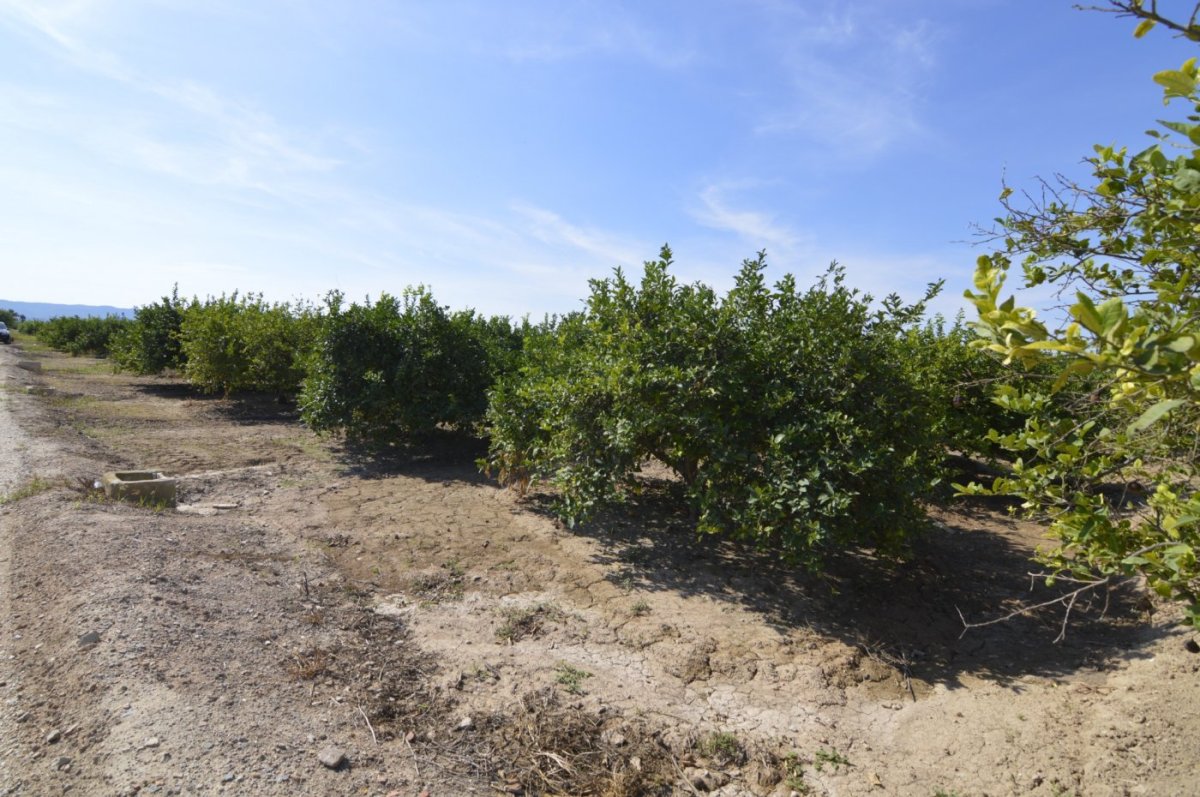 Propiedad 1