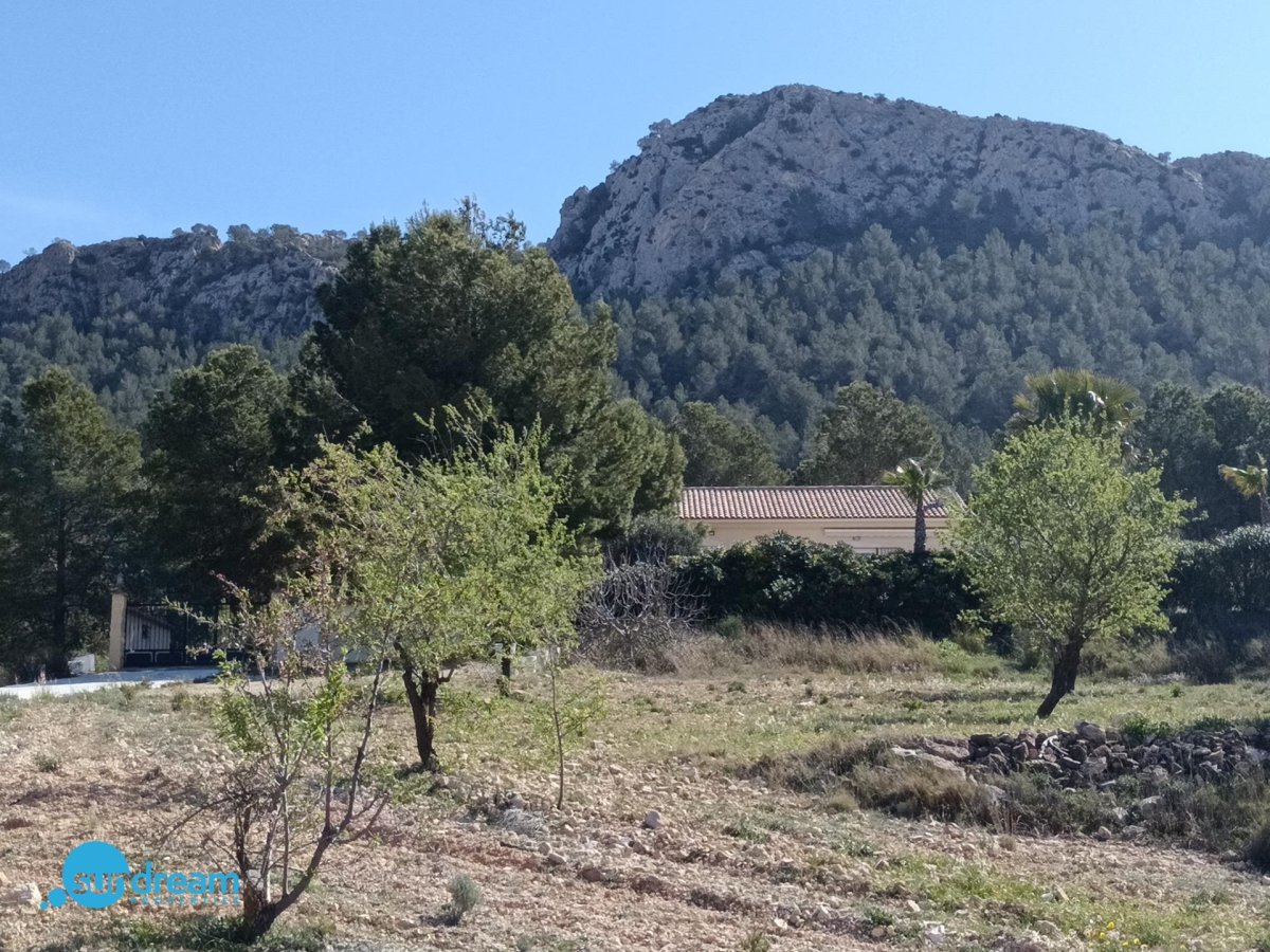 Propiedad 35