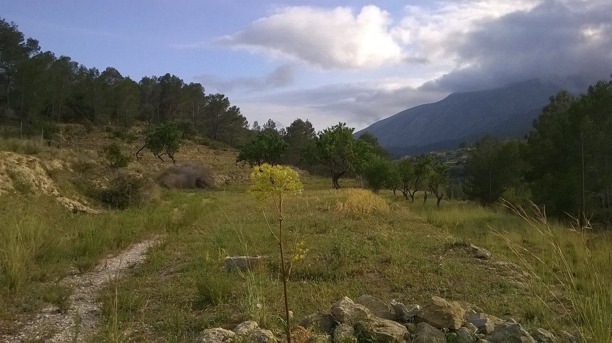 Propiedad 2