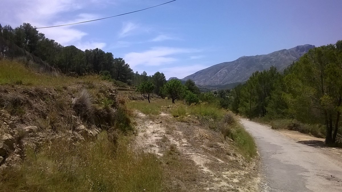 Propiedad 4