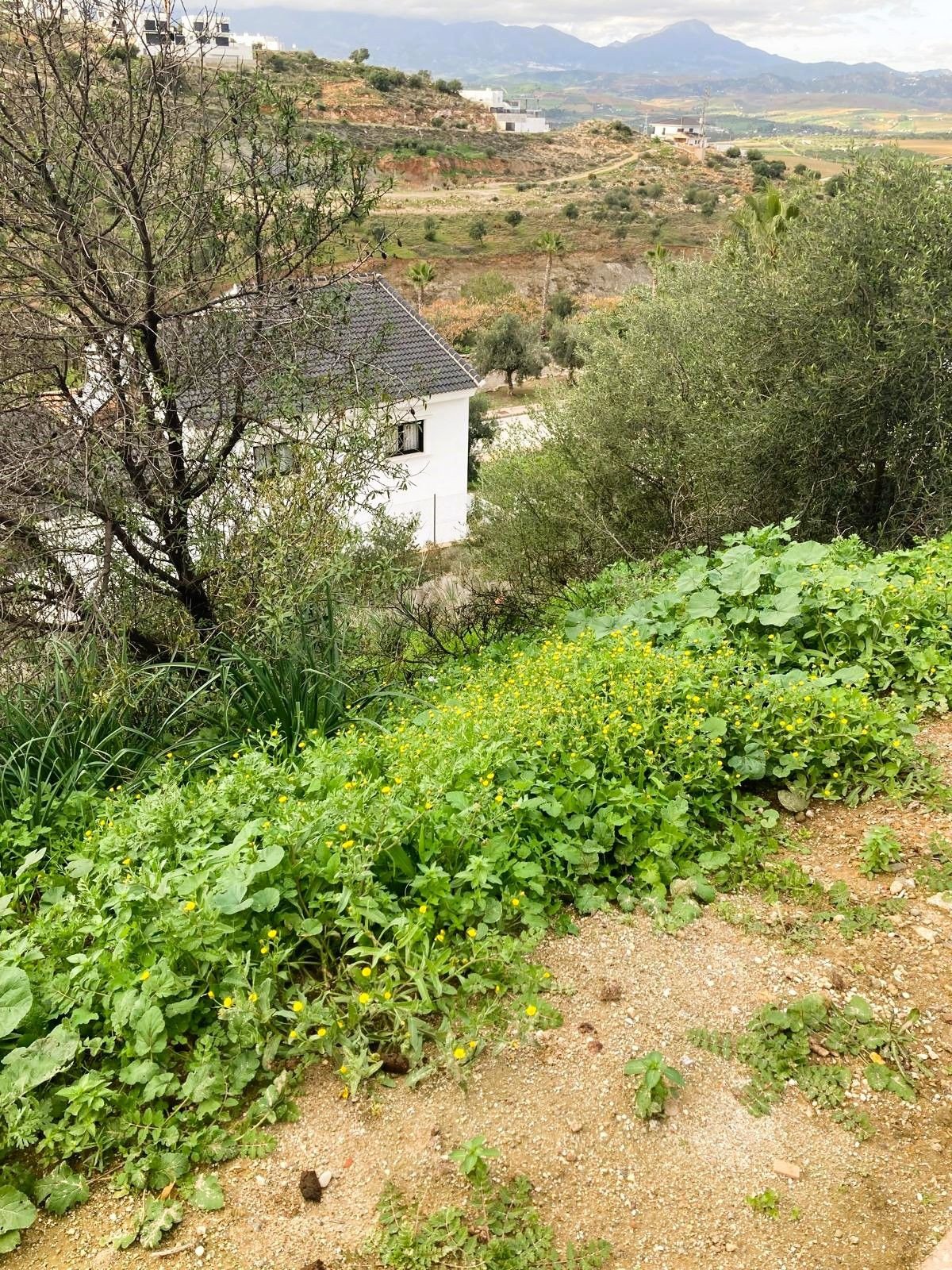Propiedad 7