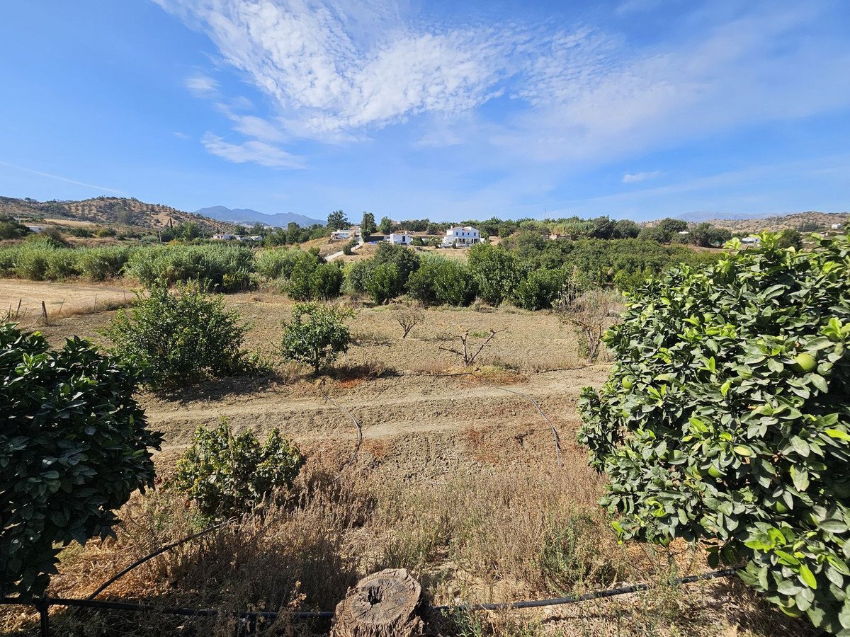 Propiedad 41
