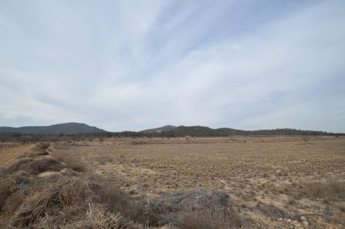 R4968349