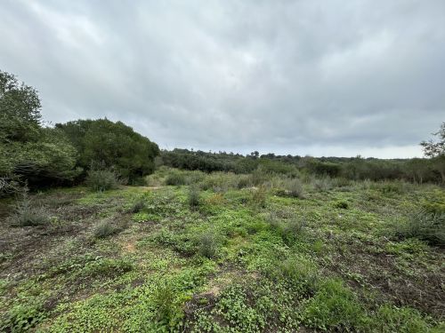 R4880659