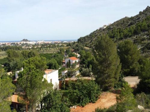 R4239859