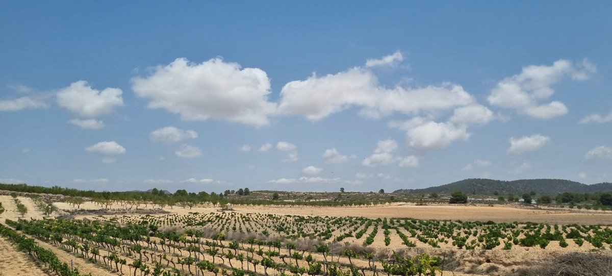 Propiedad 7