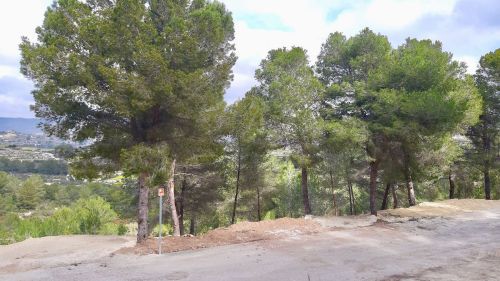 R4704565