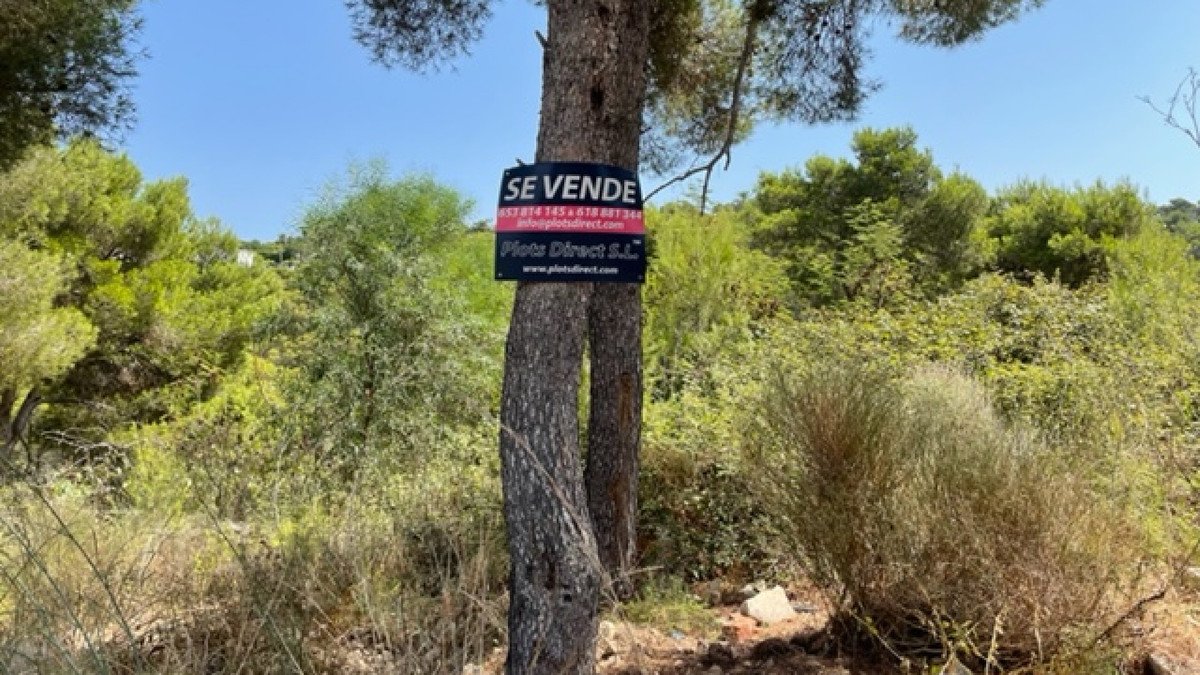 Propiedad 5