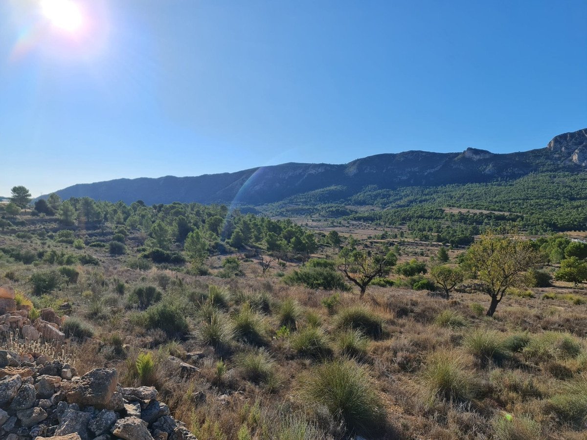 Propiedad 9