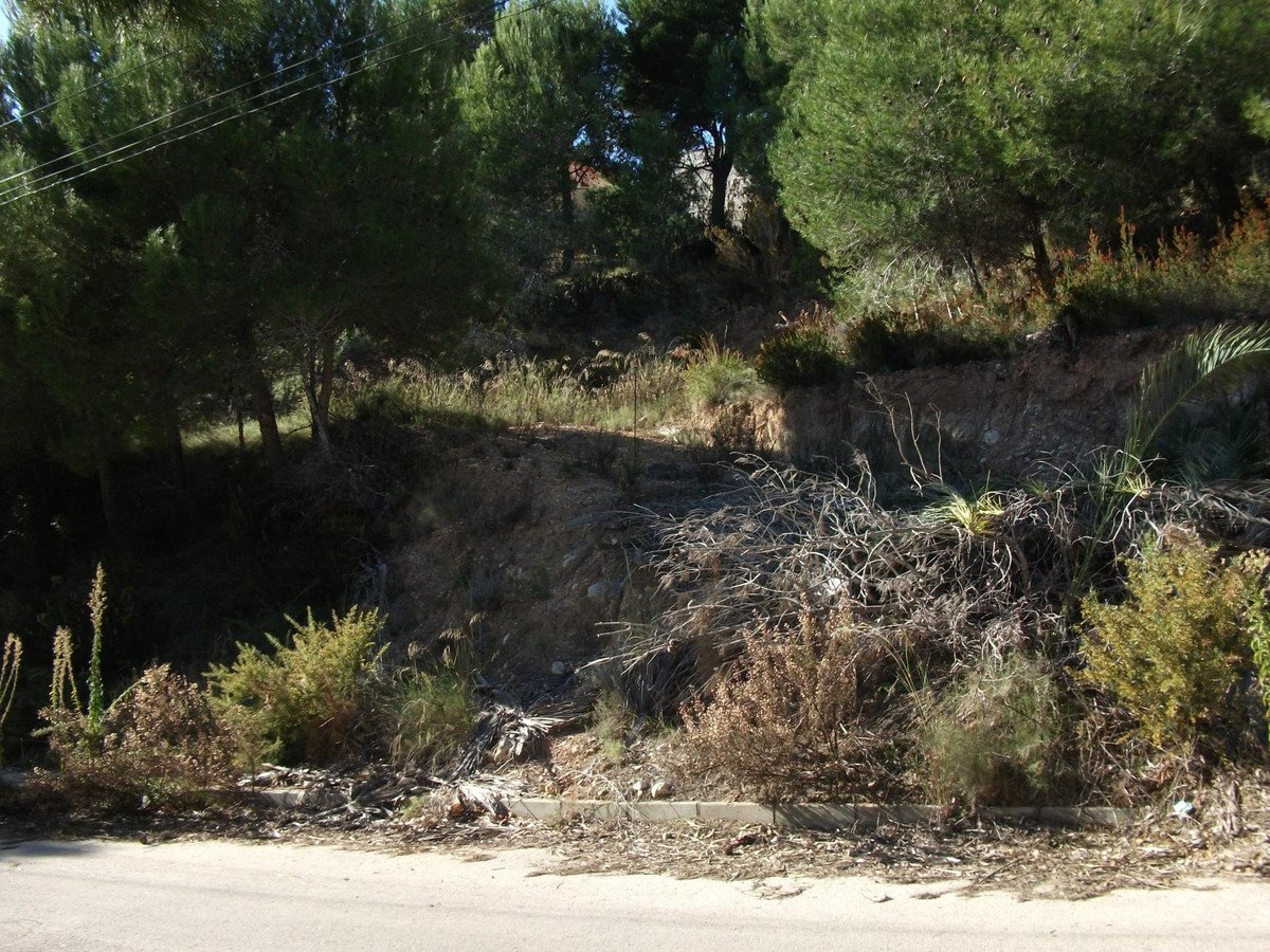 Propiedad 3
